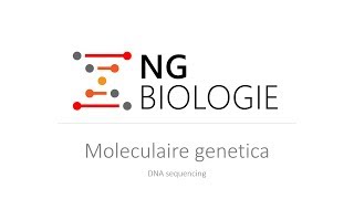 Moleculaire genetica  DNA sequencing  VWO [upl. by Tarrance897]