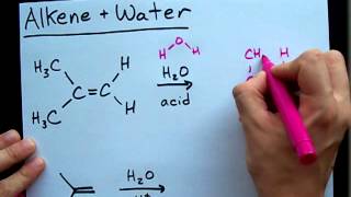 Alkene and Water Reaction  Alcohol [upl. by Enilav143]