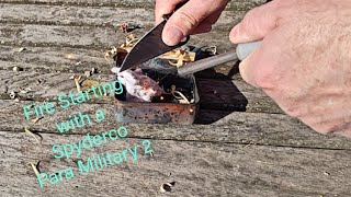 Fire starting with a Spyderco Paramilitary 2 pocket knife [upl. by Dnomasor711]