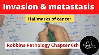 Invasion and Metastasis Hallmarks of CancerRobbins pathology chapter 6Neoplasiarobbinspathology [upl. by Einhpad27]