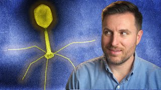 The History of Phage Therapy [upl. by Dailey]