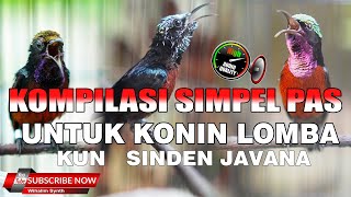 MASTERAN KONIN FULL ISIAN SPESIAL JUARA  KOMPISASI SIMPEL PAS UNTUK KONIN LOMBA [upl. by Amalia897]