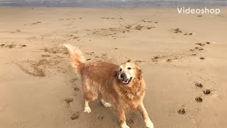 Fishing around Anglesea [upl. by Mylo]