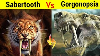 Gorgonopsia Vs Sabertooth Tiger  क्या Dinosaur से भी पुराना शिकारी मार पायेगा Smilodon को [upl. by Bigler]