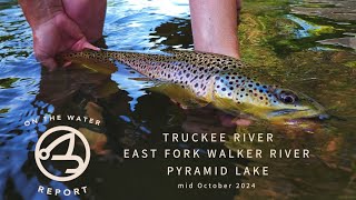 OntheWater Report  Truckee R  EF Walker R  Pyramid Lake  mid October 2024 [upl. by Leraj]