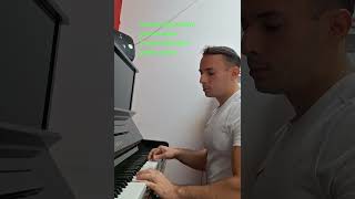 Centro di gravità permanente  Franco Battiato  piano cover [upl. by Dahsra]