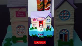 PUPPY QUICK COLLECT THE WHITE BONES OUTSIDE THE DOOR ASMRshortsviral shortsvideo [upl. by Beutler721]