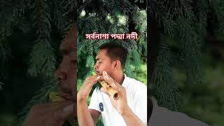 সর্বনাশা পদ্মা নদী তোর কাছে শুধাই। shorbona podda nodi shortvideo shorts [upl. by Slater497]