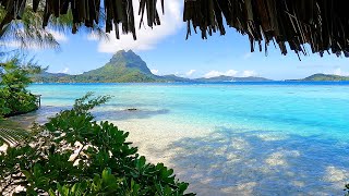 Beach View 3 Hours of Bora Bora Ambience amp Soft Ocean Sounds [upl. by Eerrehc]