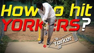 How to hit YORKERS  Cricket Batting tips  Nothing But Cricket [upl. by Kirst]