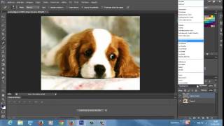 Como arreglar una imagen borrosa con Photoshop CS6 [upl. by Sillaw]