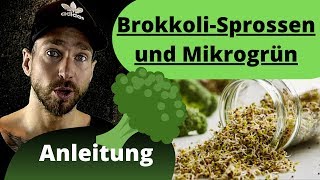 BrokkoliSprossen und Mikrogrün ziehen Anleitung die gesündesten Sprossen [upl. by Egreog]