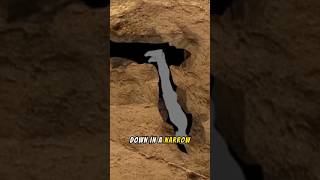 The Tragic Story of Nutty Putty Cave 💀 facts didyouknow cave tragedy tragicstory [upl. by Clippard]