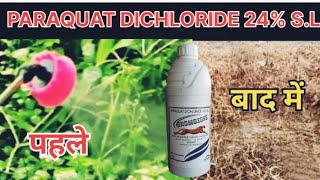 PARAQUAT DICHLORIDE 24 SLGROMOXONE HERBICIDEपैराक्वाटHimalyan chemical amp Pesticideagrostar [upl. by Far975]