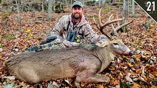 BIG WOODS BUCK with a BOW  Missouri Public Land [upl. by Eiznik]