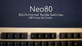 I am confused  Neo80  BSUN Hornet Tactile Switches Stock  PBTFans Retro Dark Lights [upl. by Anceline]