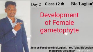 Class 12th Biology Development of Female Gametophyte By Ashwin Sir Gurukul Academy [upl. by Oiluarb]