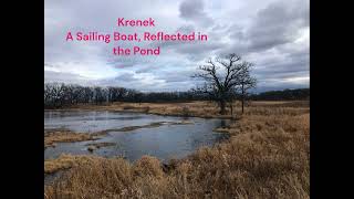 Ernst Krenek The Sailing Boat Reflected in the Pond from quot12 Short Piano Pieces Writtenquot op 83 [upl. by Boice]