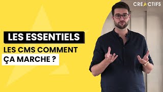 Les CMS  Ce qu’il faut savoir avant de CRÉER SON SITE INTERNET [upl. by Safier583]