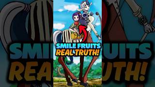 Why Smile Fruits are only Zoan Type One Piece Explained onepiece shorts [upl. by Ansilme]