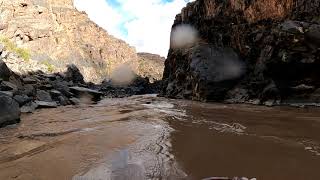 Westwater Rafting Trip  2 AUG 20213600 CFS [upl. by Aggappe]