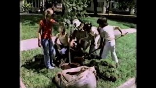 1981 Arbor Day PSA  Livin in Tree City USA [upl. by Aihsenal]