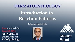 Dermatopathology Introduction to Reaction Patterns w Dr Singh [upl. by Agee]