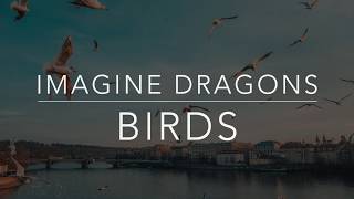 Imagine Dragons  Birds LyricsTraduçãoLegendadoHQ [upl. by Fernandina512]