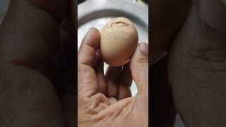 egg poch cooking 😋shorts foodie asmr mukbang [upl. by Etna306]