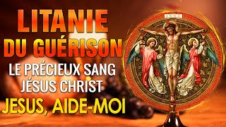 LITANIE du PRÉCIEUX Sang de JÉSUS 🙏 PRIÈRE de PROTECTION par le SANG PRÉCIEUX de JÉSUS [upl. by Danuloff]