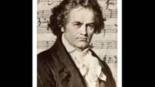 Beethoven  Symphony No 3 in E flat major Op 55 Eroica Berliner Philharmoniker [upl. by Nayrb]