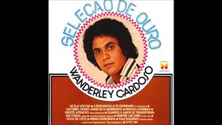 WANDERLEYCARDOSO  LP 1977 [upl. by Eirahs]