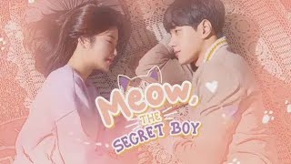 Meow The secret boy Episode 1part2 in Hindi dubbed comdey romantic drama [upl. by Darryn939]