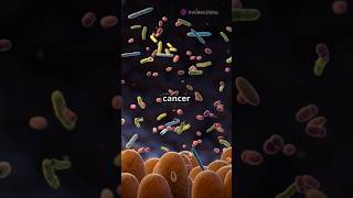 Gut Bacteria amp Bladder Cancer New StudyCarcinogen MedicalStudy Antibioticssciencefacts [upl. by Ateiram317]