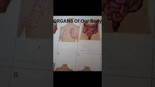 What are organ body Adityakumar [upl. by Ariat]