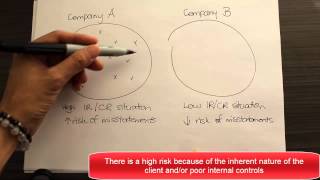 The basic workings of the Audit Risk Model [upl. by Akerboom]