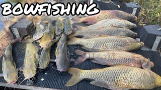 SOLO Bowfishing GIANT Carp and Catfish [upl. by Theran]