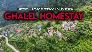 Ride to Ghalel homestay  Homestay near Pokhara  Ghalel Village  Lwang Ghalel homestay  yatri [upl. by Diraj]