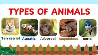 Classification of Animals for kids based on habitat  Land animals water air tree amphibians [upl. by Etnohs]