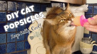 DIY Cat Popsicle Treats Help Your Cat Beat the Heat  Recipe to Make Them [upl. by Bel]