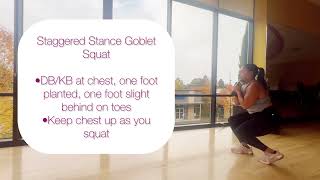 Staggered Stance Goblet Squat [upl. by Aiahc496]