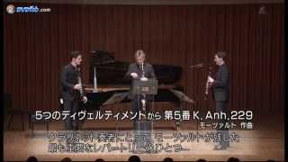 The Clarinotts in Tokyo Mozart Divertimento no 5  Ernst Daniel amp Andreas Ottensamer [upl. by Masao]