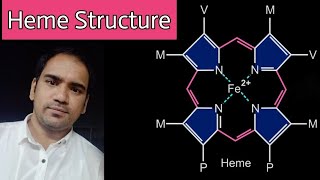 Heme  Structure  Porphyrin  types of porphyrins  bond between oxygen and iron [upl. by Tabshey]