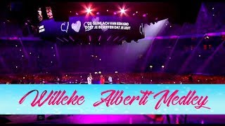 De Toppers amp Willeke Alberti  Willeke Alberti Medley 2015 HD  Toppers in Concert Crazy Summer [upl. by Ynoyrb504]