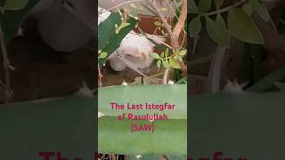 The last istegfar of RasulullahSAW viral shorts foryou cat trending [upl. by Favian]