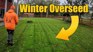 Overseeding Fall Lawns for Winter [upl. by Enairb549]