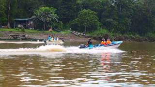 Borneo Wildlife Tour Trailer Sandakan amp Tabin  30 Secs HD [upl. by Icnan338]