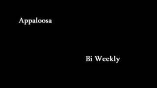 appaloosa  bi weekly [upl. by Aonian]