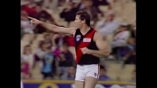 Essendon Highlights  Rd 5 1991 v Sydney [upl. by Nolek]