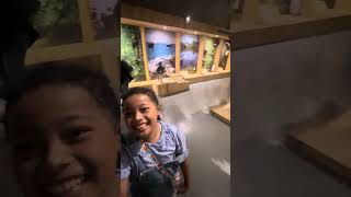 Keseruan di museum animalium part 1 [upl. by Mas680]